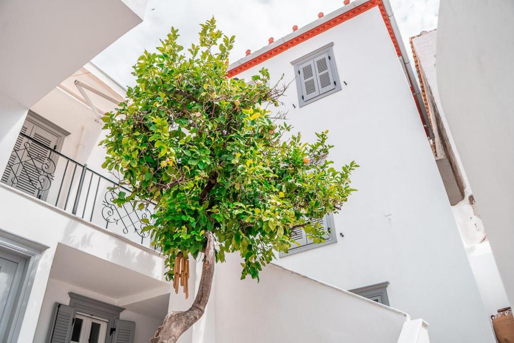 Lemon Tree - Hydra Dream Houses Екстер'єр фото